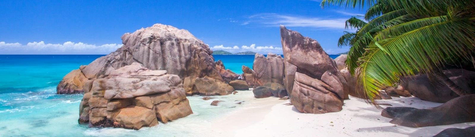 Rondreis Seychellen, strand met stenen en palmbladen