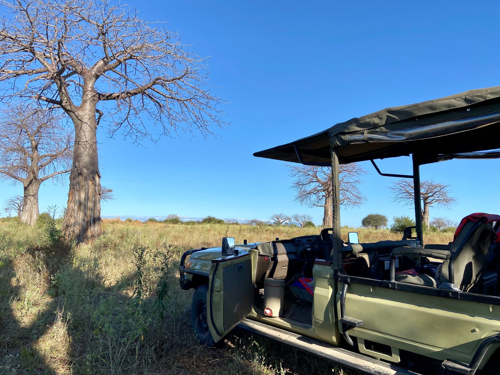 Rondreis Tanzania, Ruaha National Park, safari auto in de wildernis