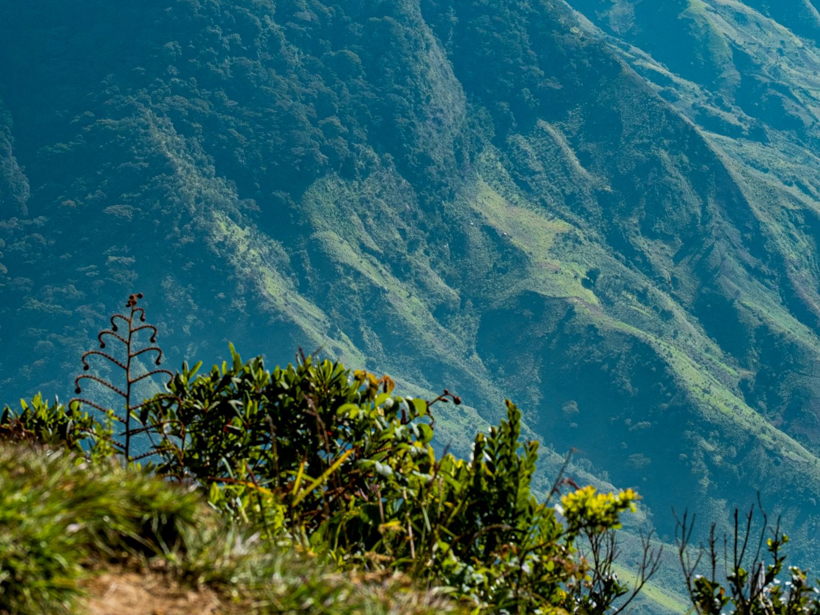 Rondreis Tanzania, Uluguru Mountains, bergen close-up veel groen