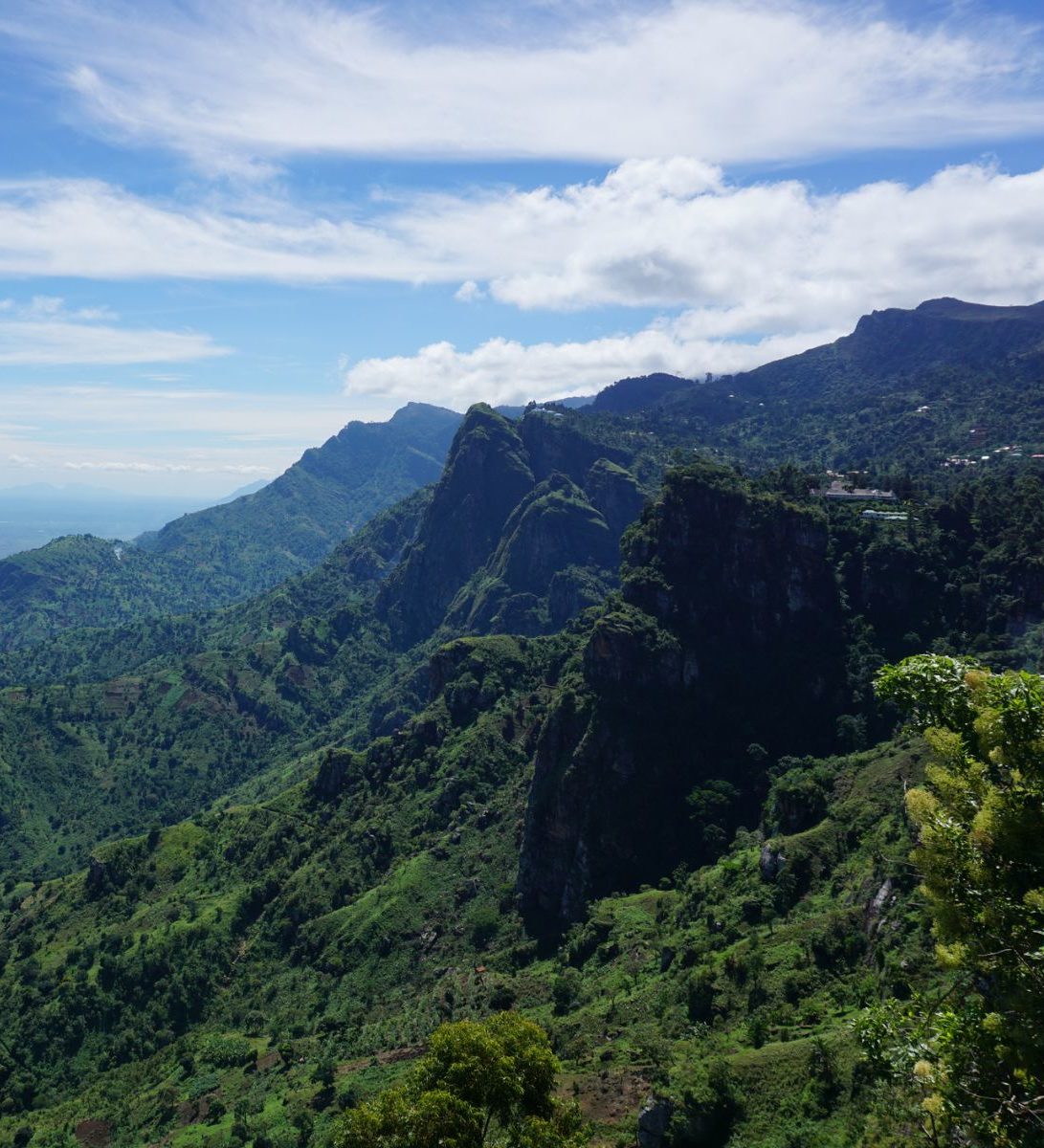 Rondreis Tanzania, Usambara Mountains, groene heuvels