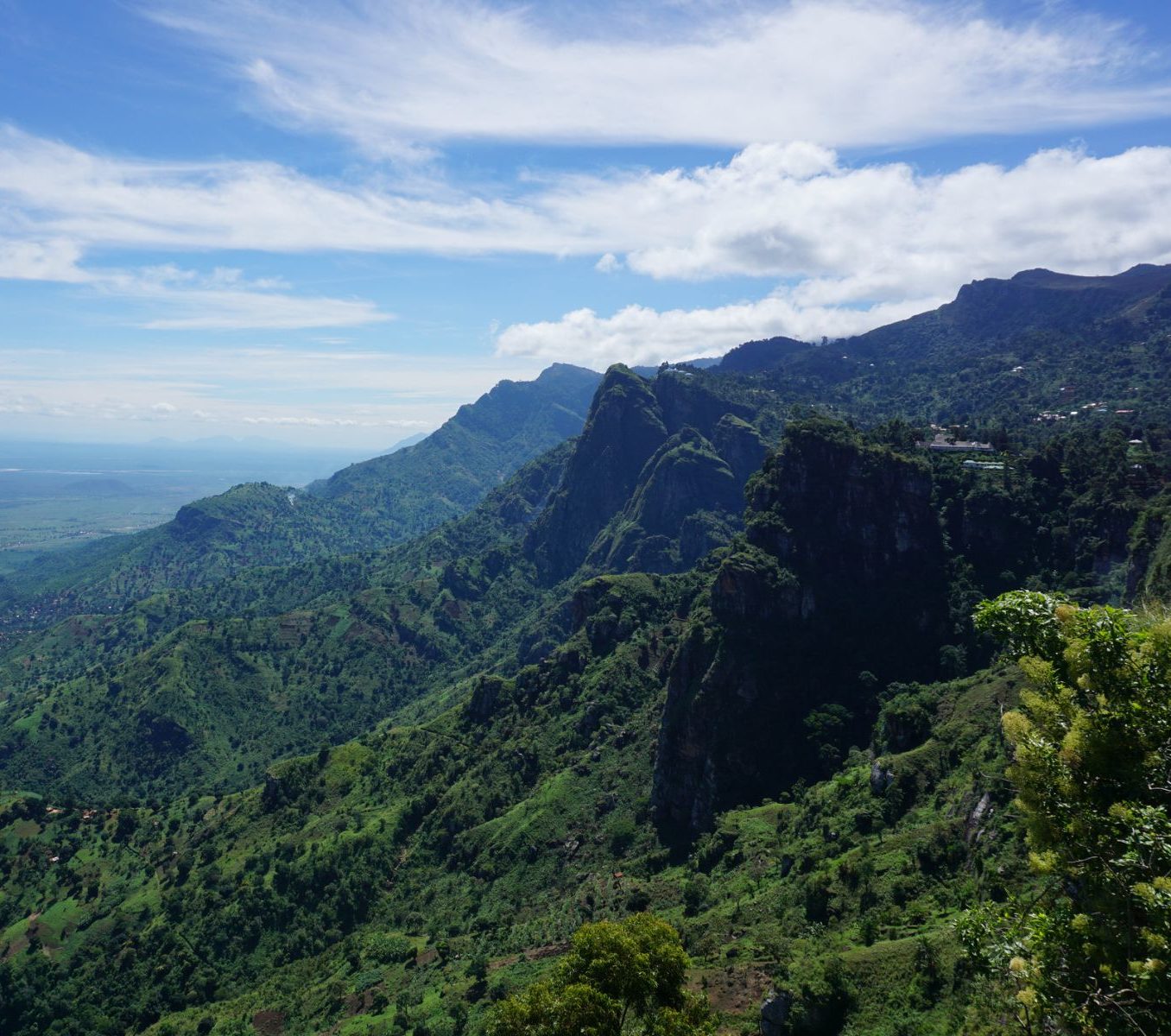 Rondreis Tanzania, Usambara Mountains, groene heuvels