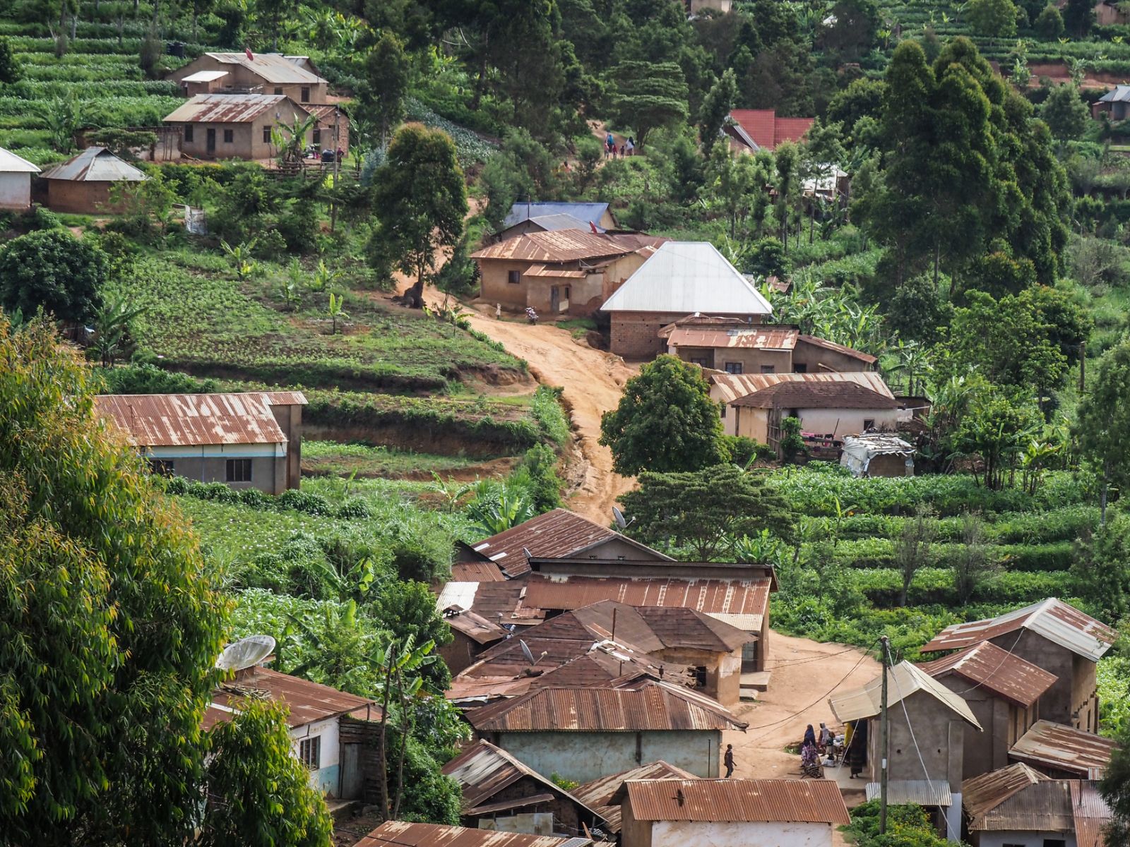 Rondreis Tanzania, Usambara Mountains, huizen tegen de berghelling