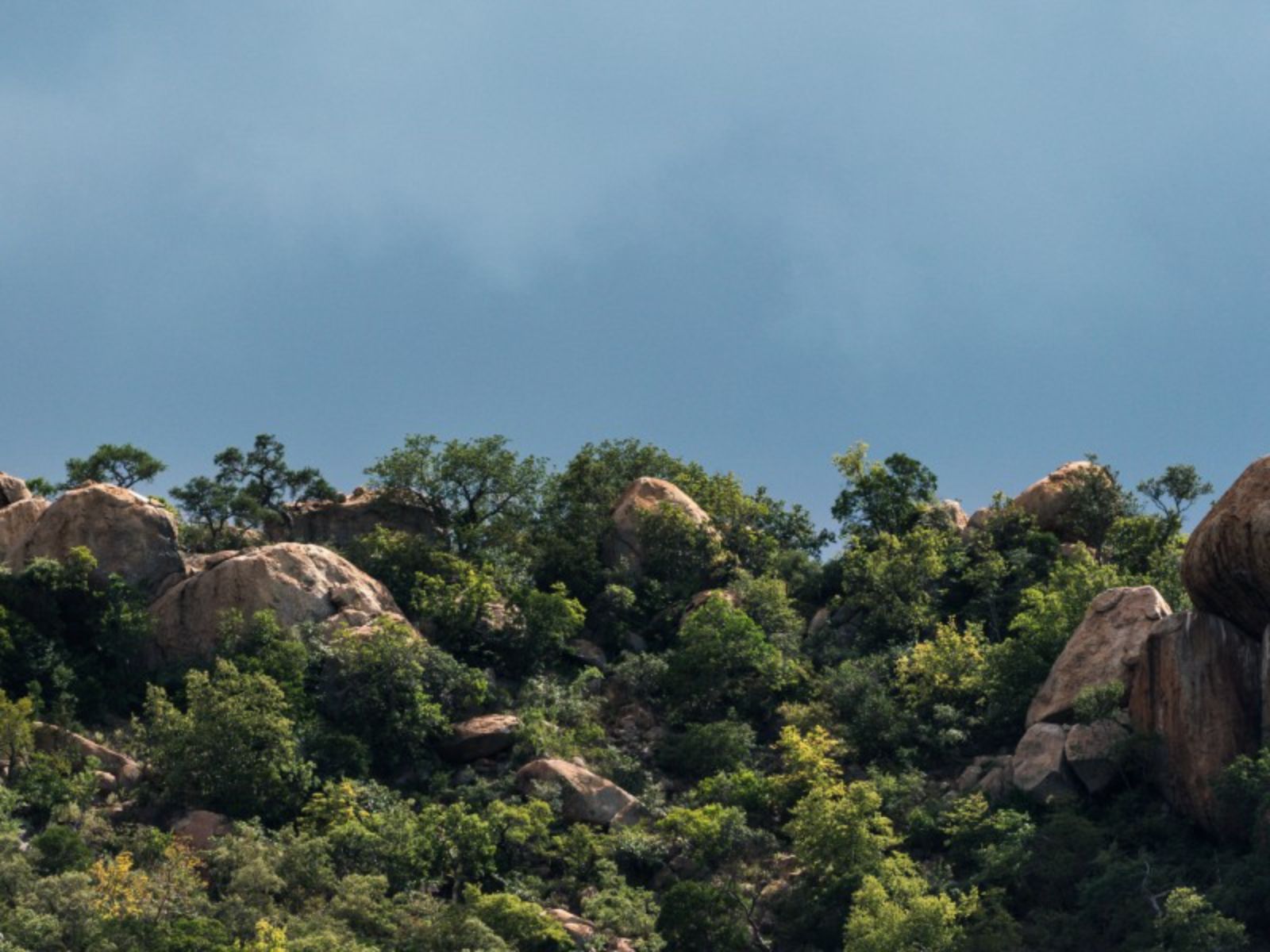 Rondreis Zuid-Afrika, Abelana Game Reserve, rotsen