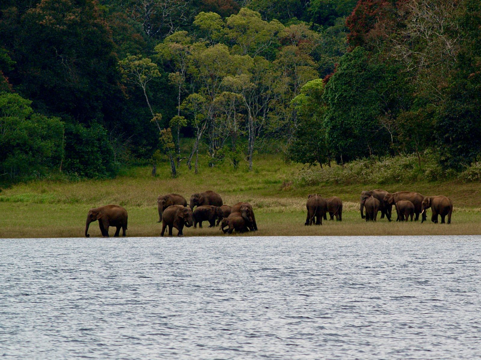 Rondreis Zuid-Afrika, Addo National Park, Olifanten aan het water