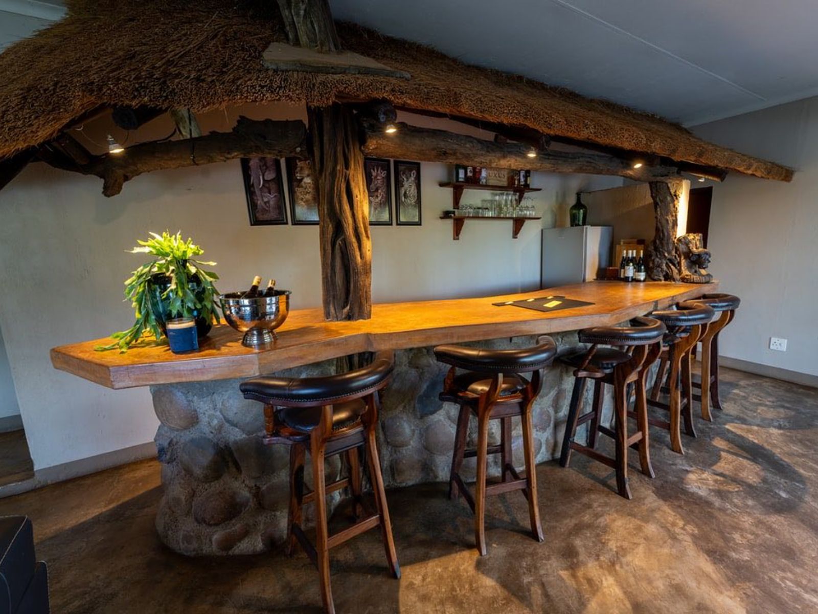 Rondreis Zuid-Afrika, Balule Game Reserve, Parsons Hilltop Safari Camp, bar