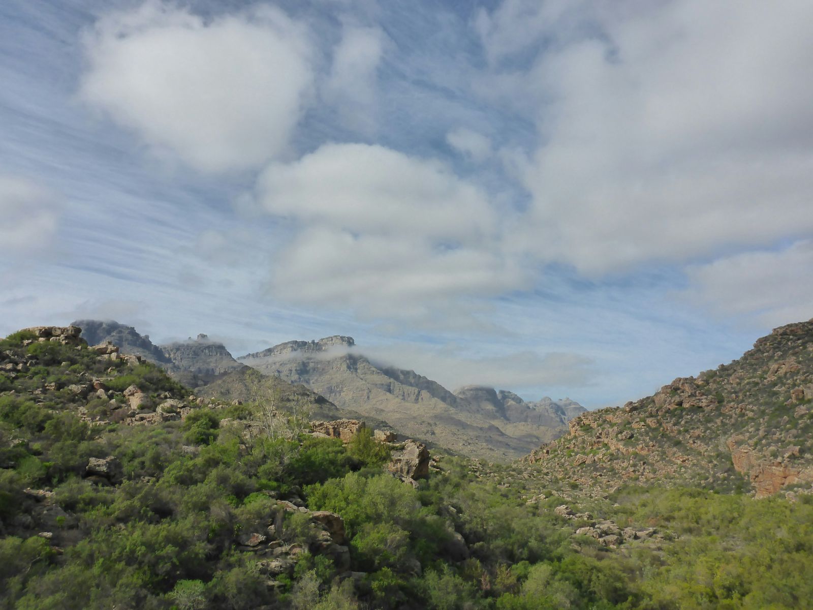 Rondreis Zuid-Afrika, Cederbergen, bergketen