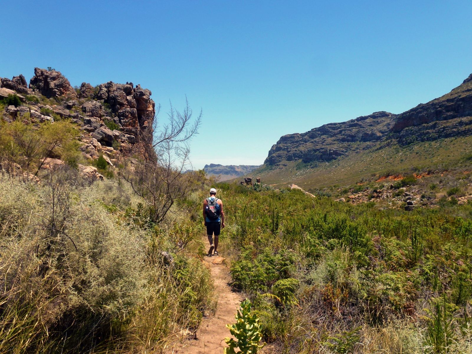 Rondreis Zuid-Afrika, Cederbergen, hike