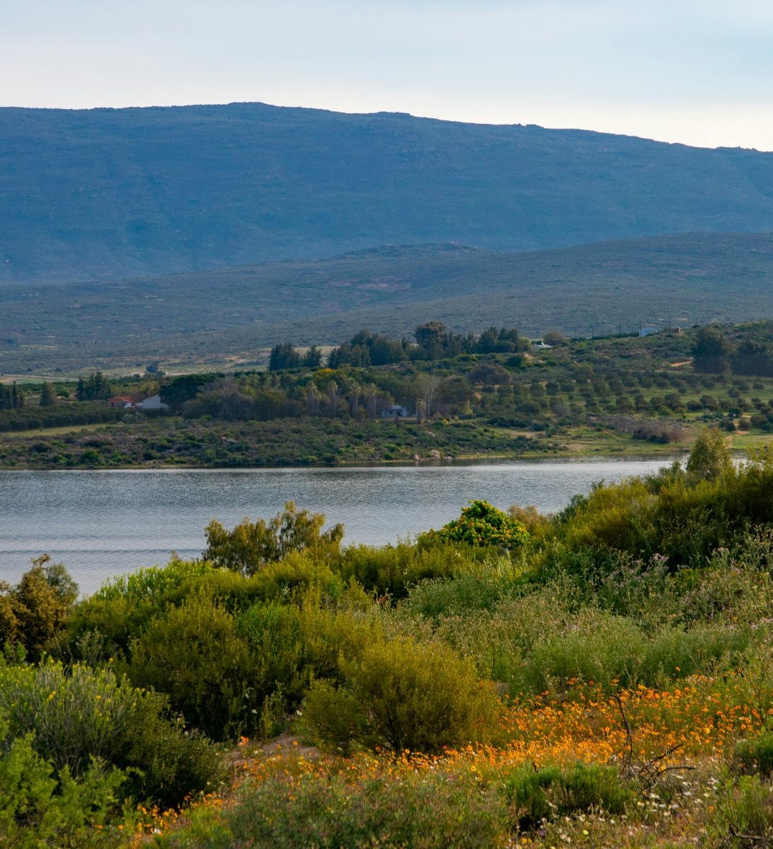 Rondreis Zuid-Afrika, Clanwilliam, meer en natuur