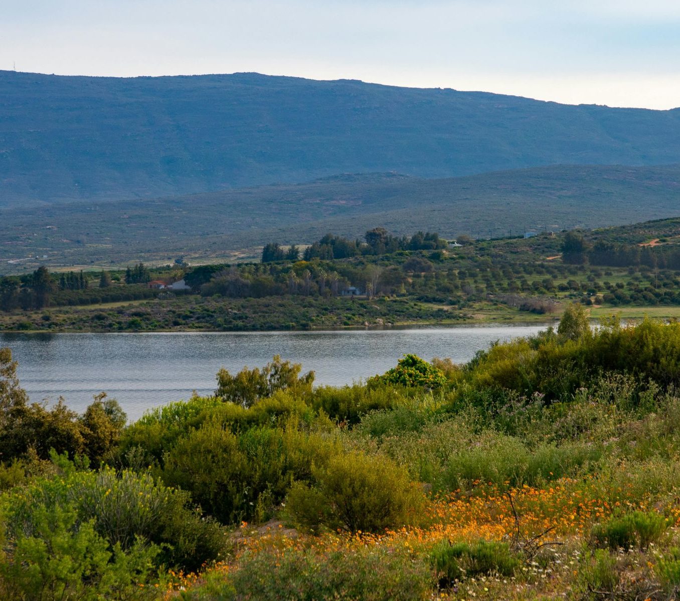Rondreis Zuid-Afrika, Clanwilliam, meer en natuur
