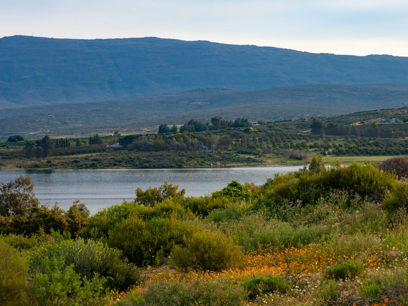 Rondreis Zuid-Afrika, Clanwilliam, meer en natuur