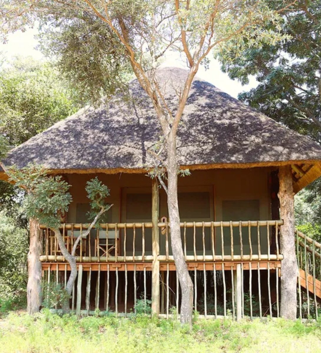 Rondreis Zuid-Afrika, Entabeni Game Reserve, Honeyguide Ranger Camp, buitenkant tent