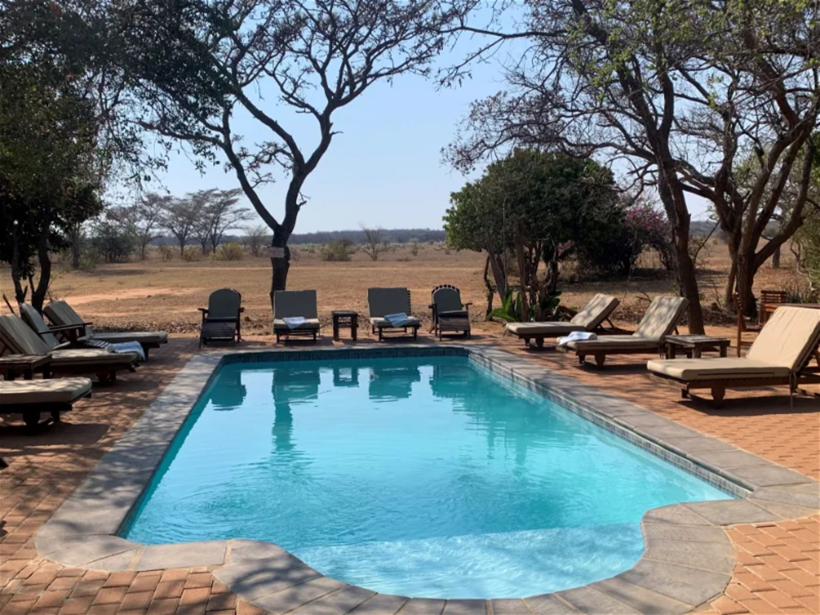 Rondreis Zuid-Afrika, Entabeni Game Reserve, Honeyguide Ranger Camp, zwembad