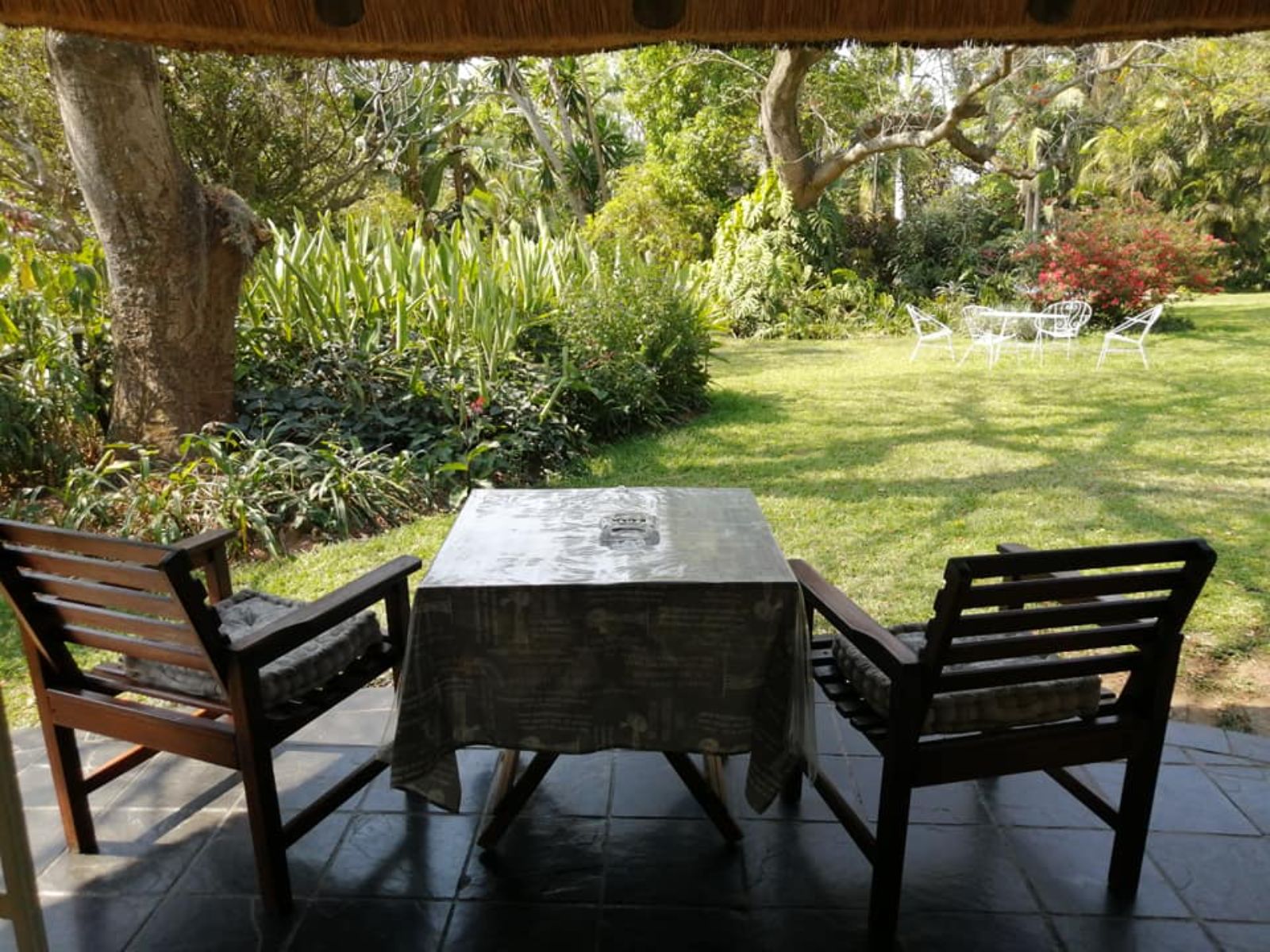 Rondreis Zuid-Afrika, Hazyview, Idle & Wild Country Estate, terras