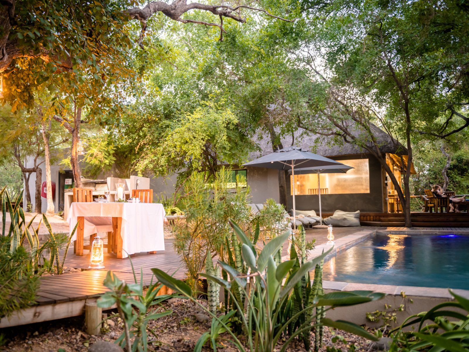 Rondreis Zuid-Afrika, Hoedspruit, Rukyia Safari Lodge, zwembad