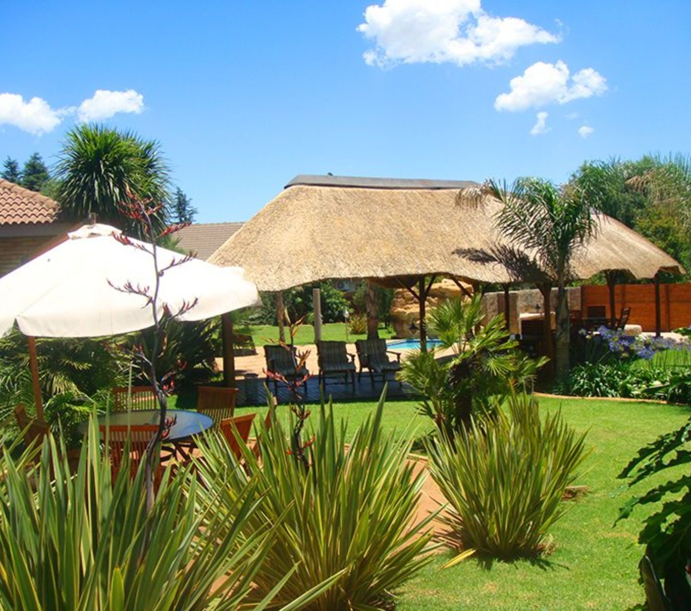 Rondreis Zuid-Afrika, Johannesburg, Avant Garde Lodge, tuin