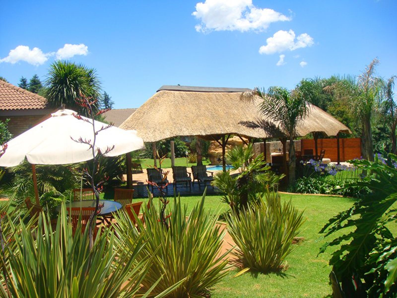 Rondreis Zuid-Afrika, Johannesburg, Avant Garde Lodge, tuin