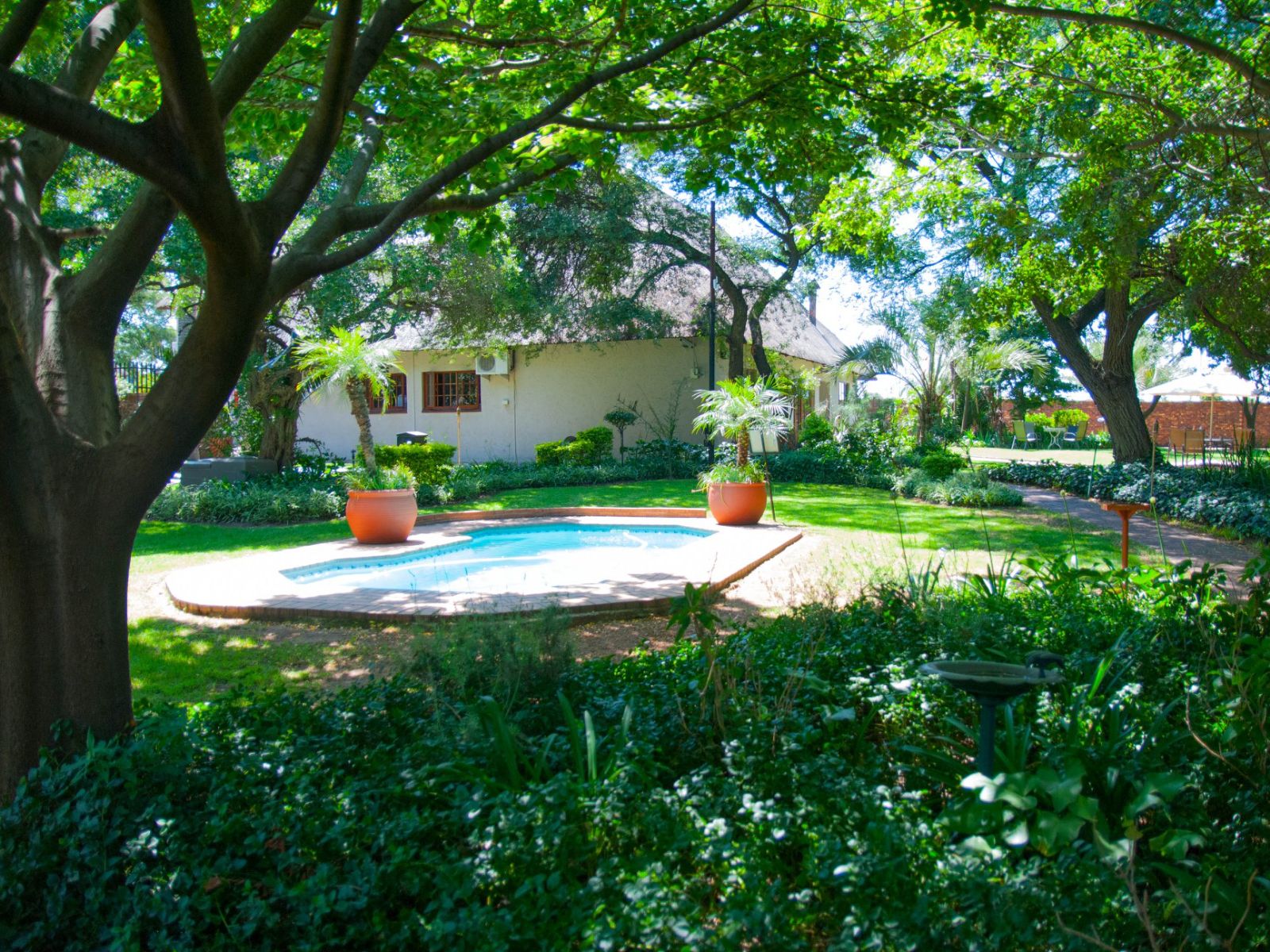 Rondreis Zuid-Afrika, Johannesburg, Safari Club SA, zwembad