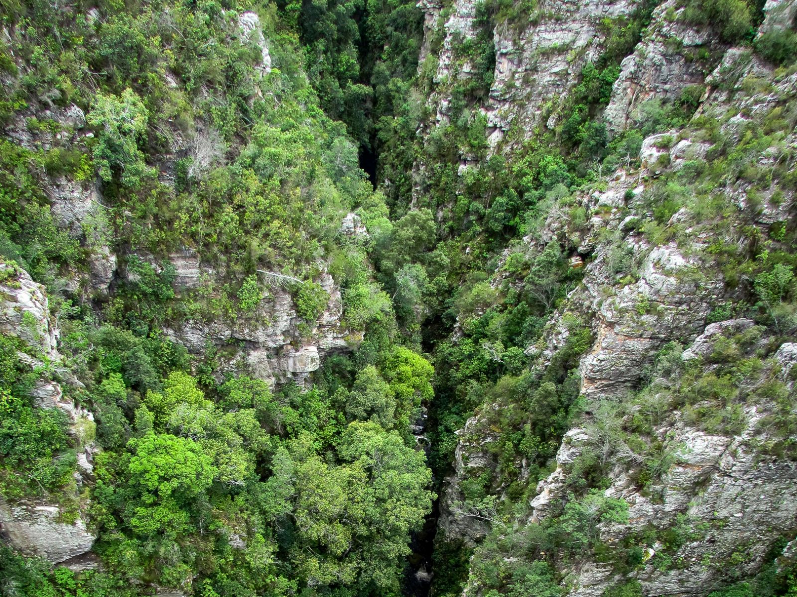 Rondreis Zuid-Afrika, Knysna, bovenaanzicht ravijn