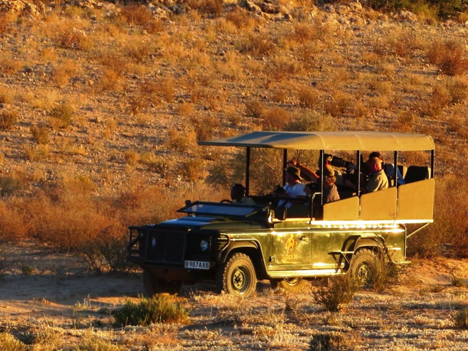Rondreis Zuid-Afrika, Kruger National Park, georganiseerde safari