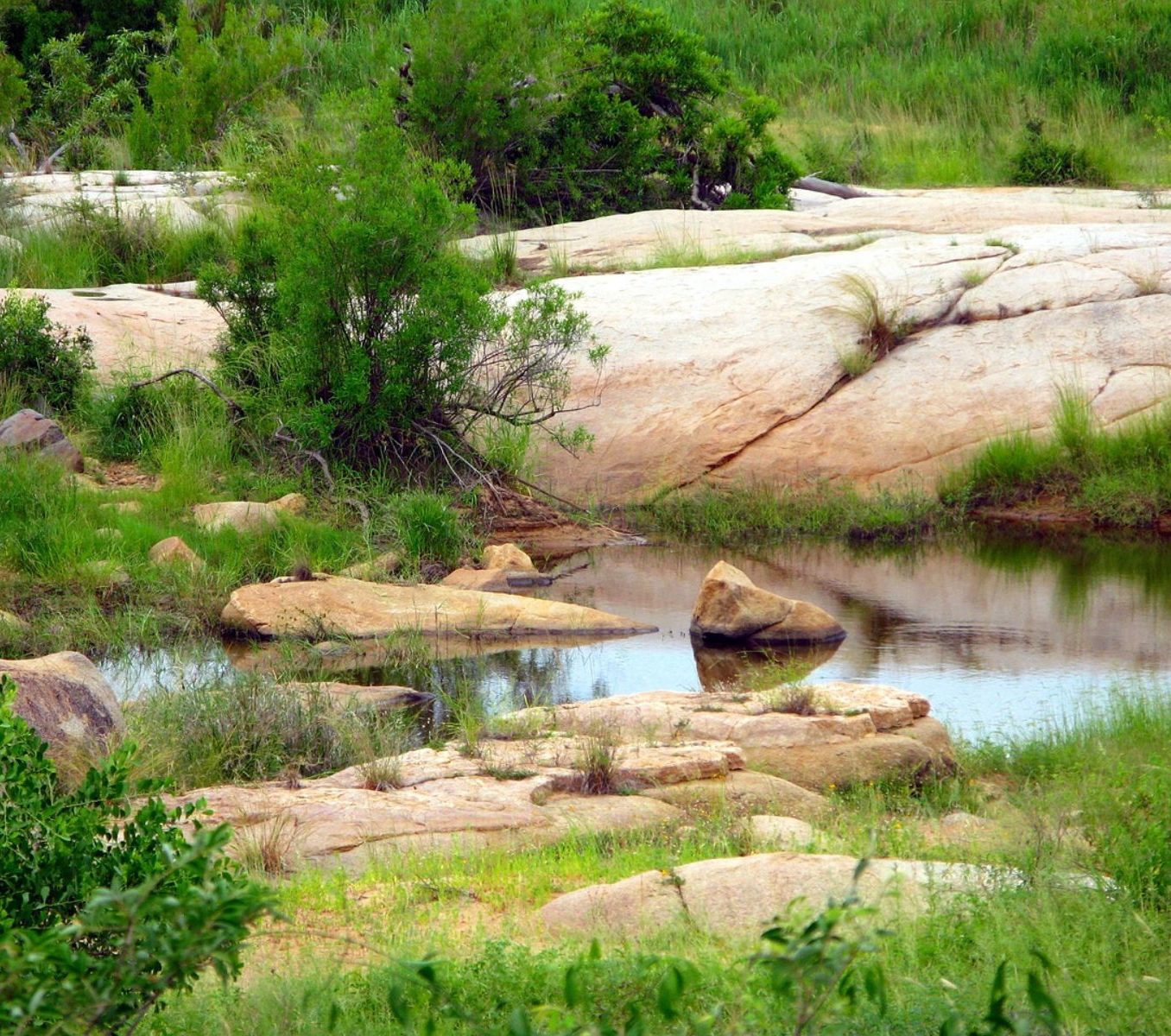 Rondreis Zuid- Afrika, Kruger National Park, waterplaats