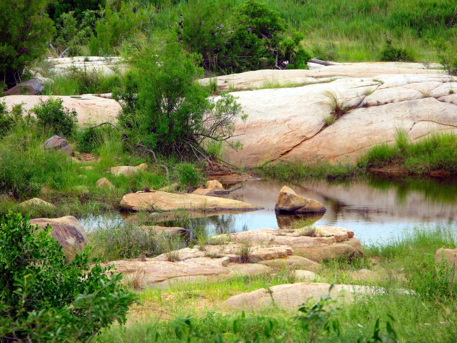 Rondreis Zuid- Afrika, Kruger National Park, waterplaats