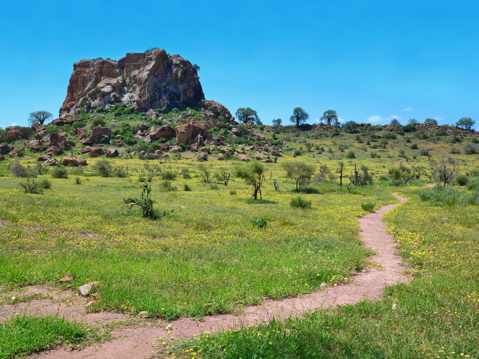 Rondreis Zuid-Afrika, Mapungubwe National Park, landschap