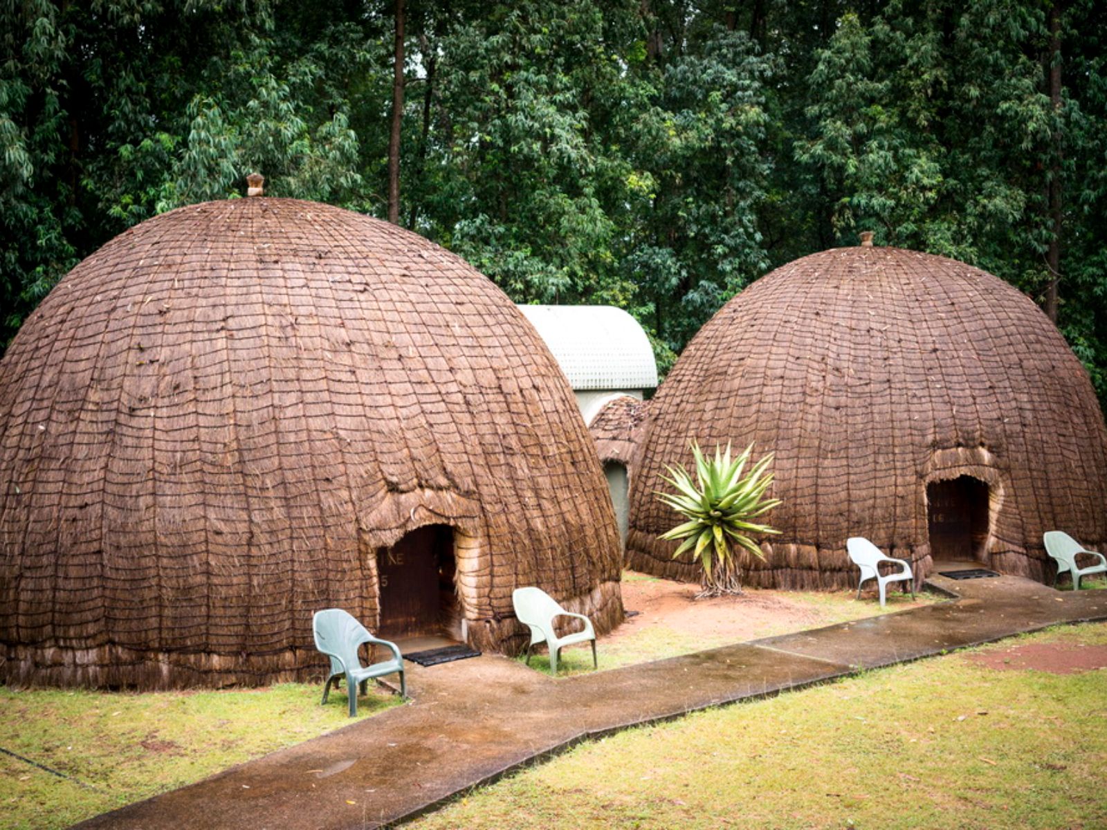 Rondreis Zuid-Afrika, Mlilwane (Wildlife Sanctuary, hut