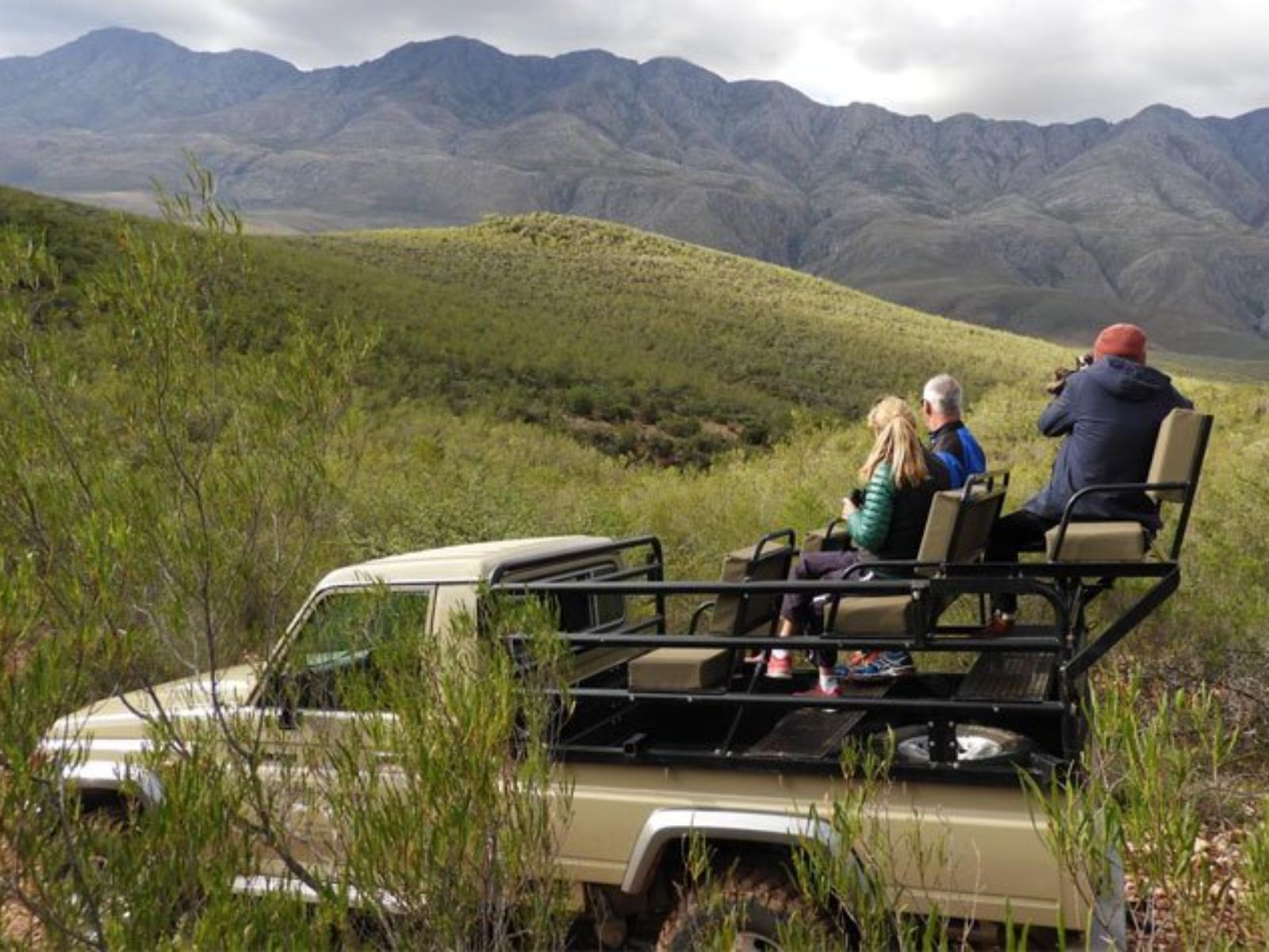 Rondreis Zuid-Afrika, Oudtshoorn, groep mensen op safari