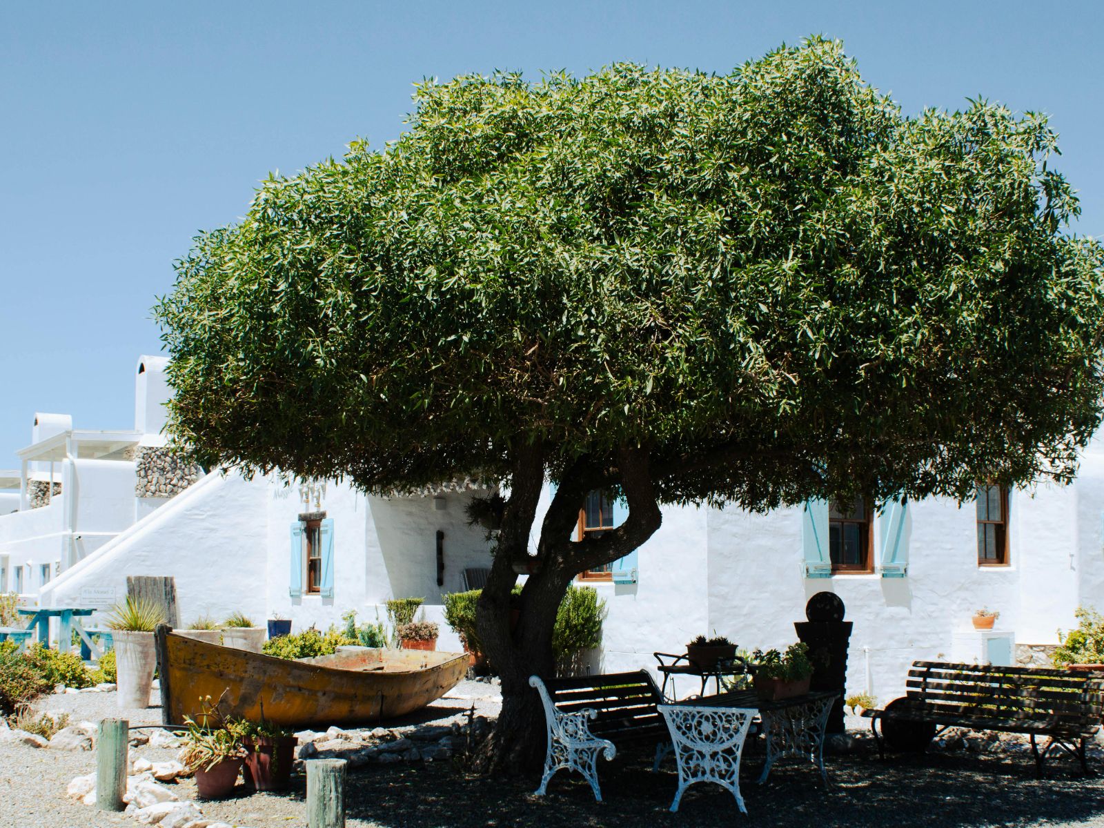 Rondreis Zuid-Afrika, Paternoster, dorpshuis met boom en terras