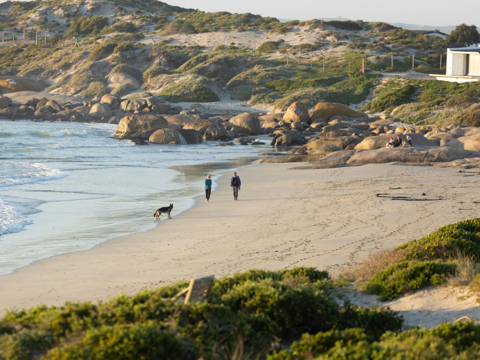 Rondreis Zuid-Afrika, Paternoster, strand met koppel en hond