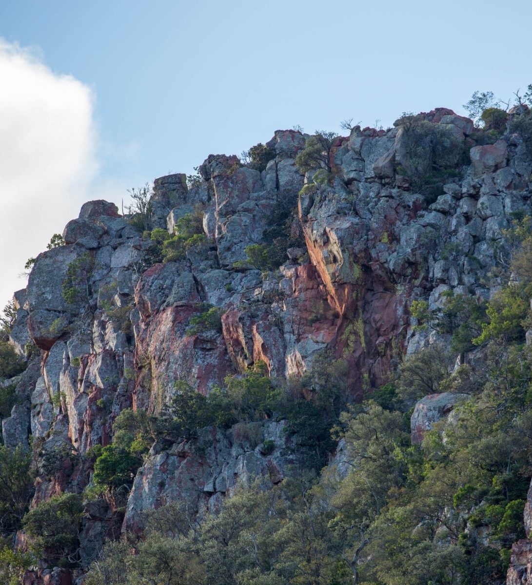 Rondreis Zuid-Afrika, Soutpansberg, rotswand in de vallei