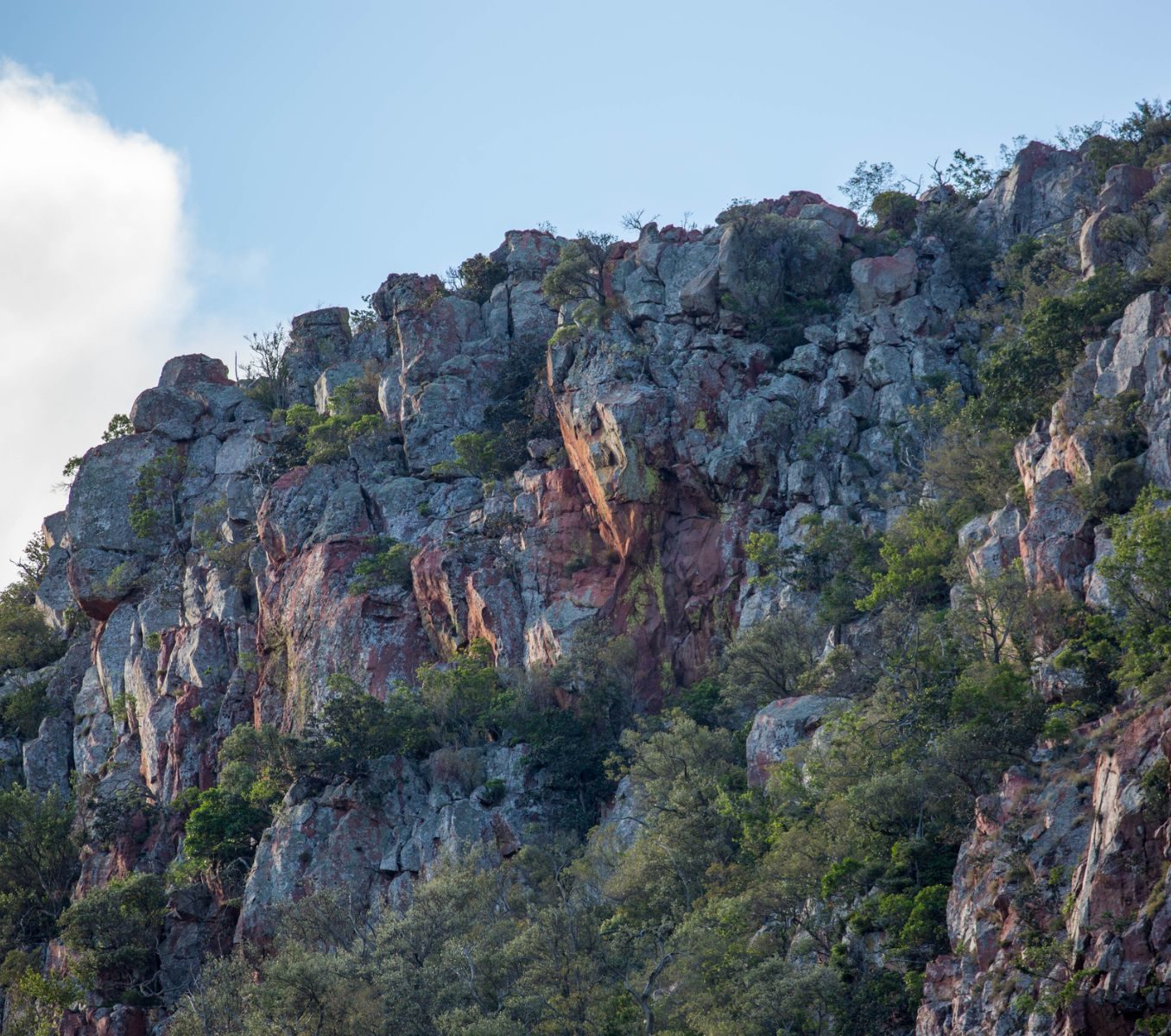 Rondreis Zuid-Afrika, Soutpansberg, rotswand in de vallei