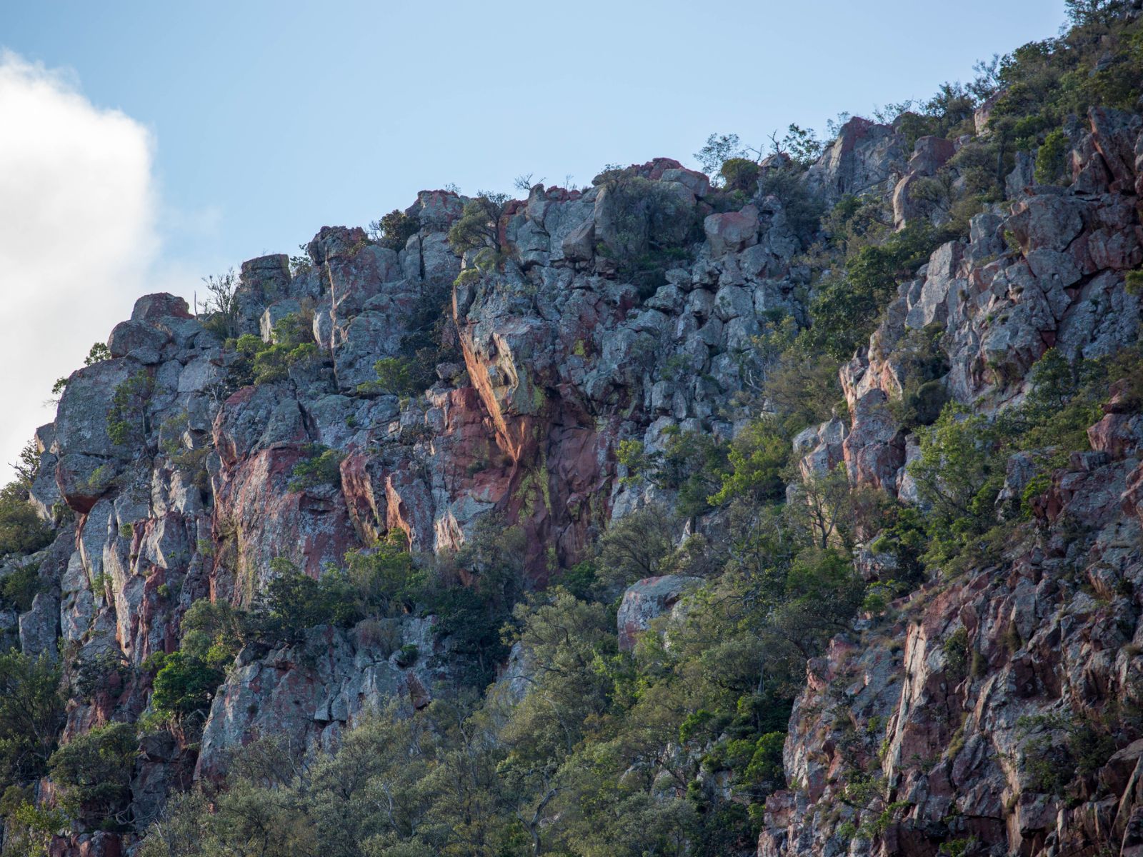 Rondreis Zuid-Afrika, Soutpansberg, rotswand in de vallei