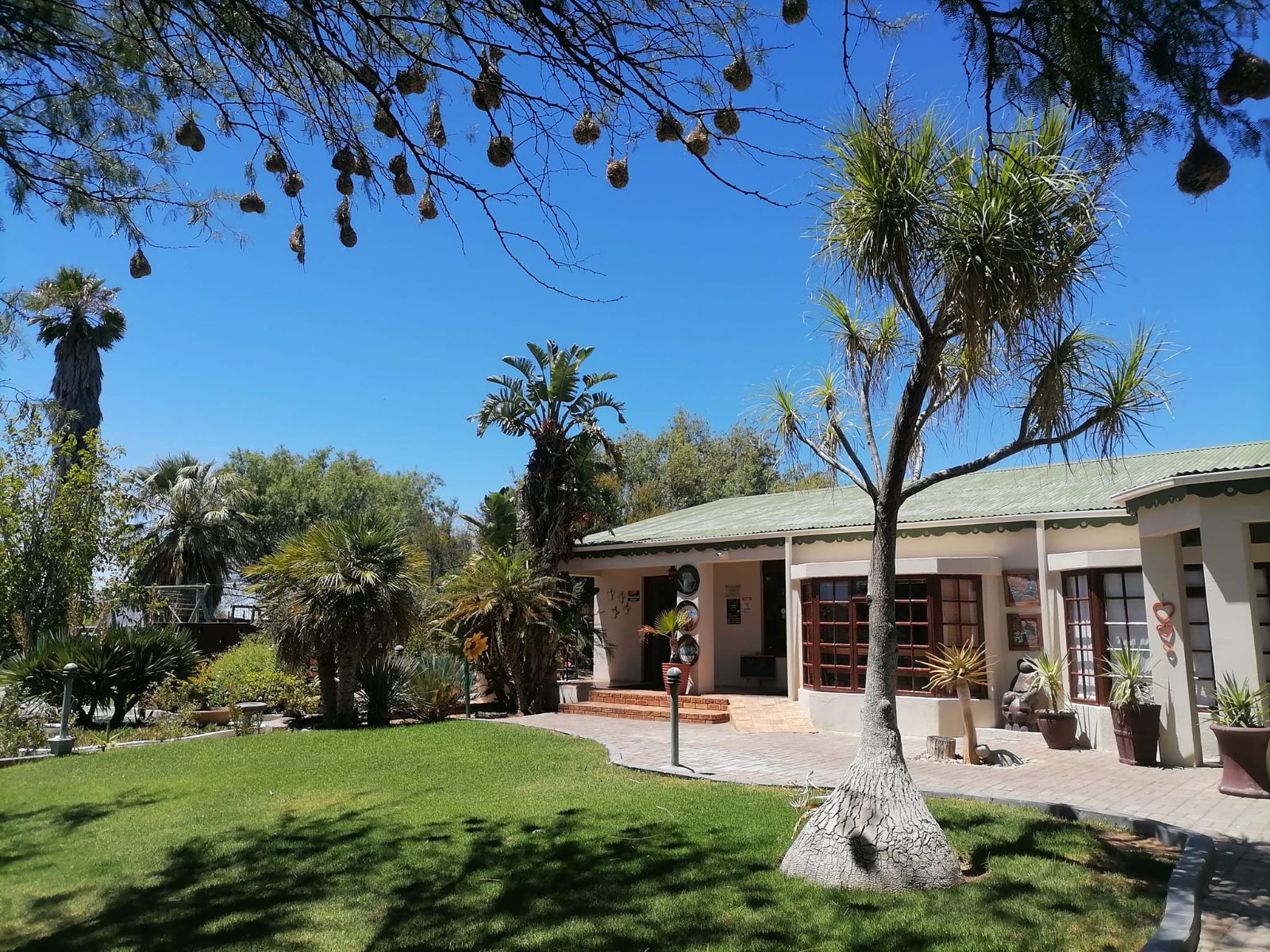 Rondreis Zuid-Afrika, Springbok, Daisy Country Lodge, Buitenaanzicht