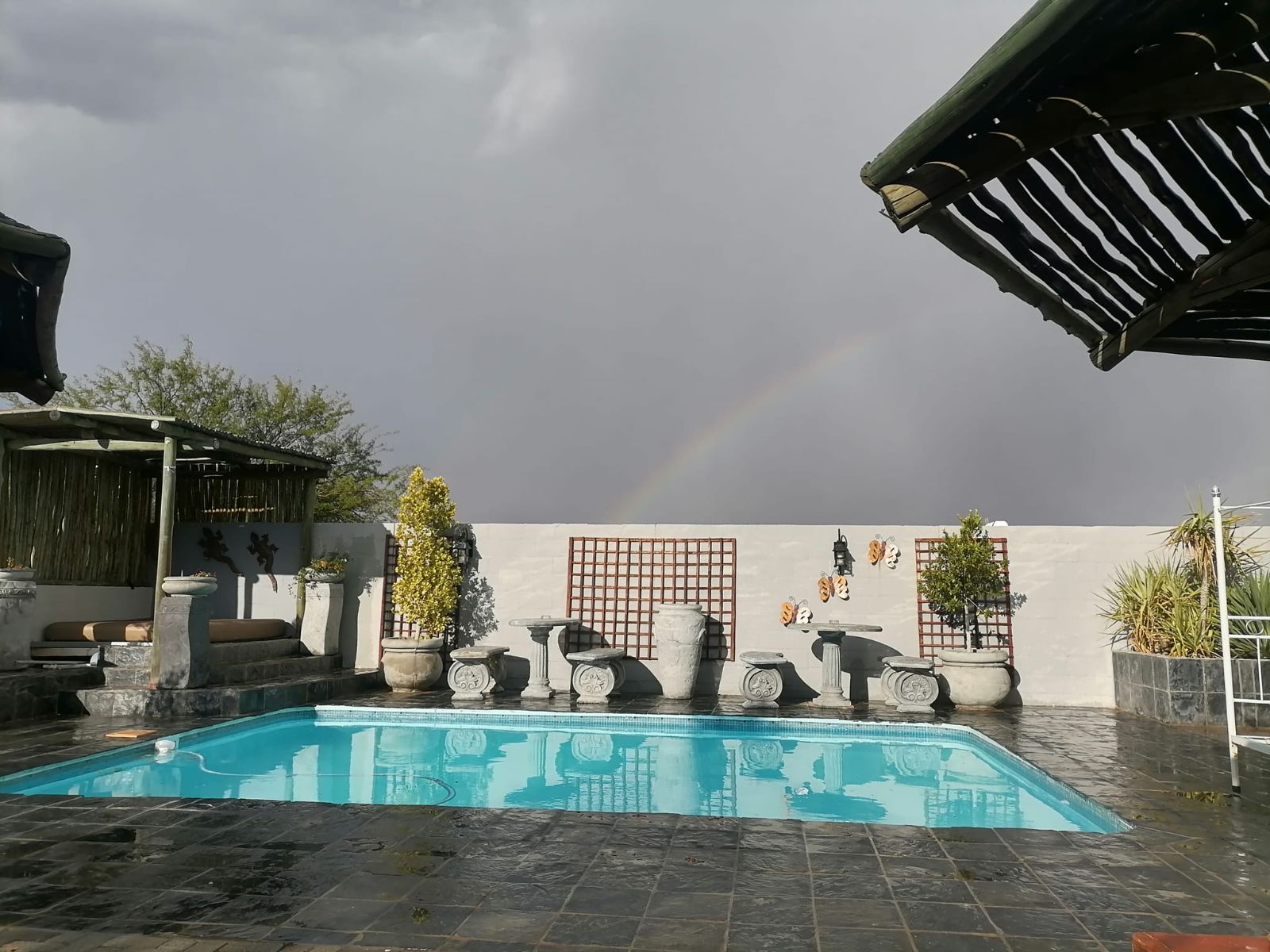 Rondreis Zuid-Afrika, Springbok, Daisy Country Lodge, zwembad