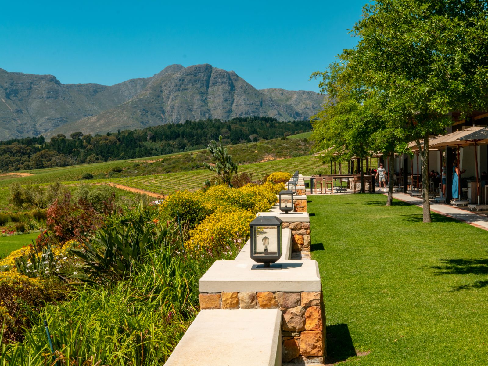 Rondreis Zuid-Afrika, Stellenbosch, wijnhhuis met uitzicht over de wijngaarden