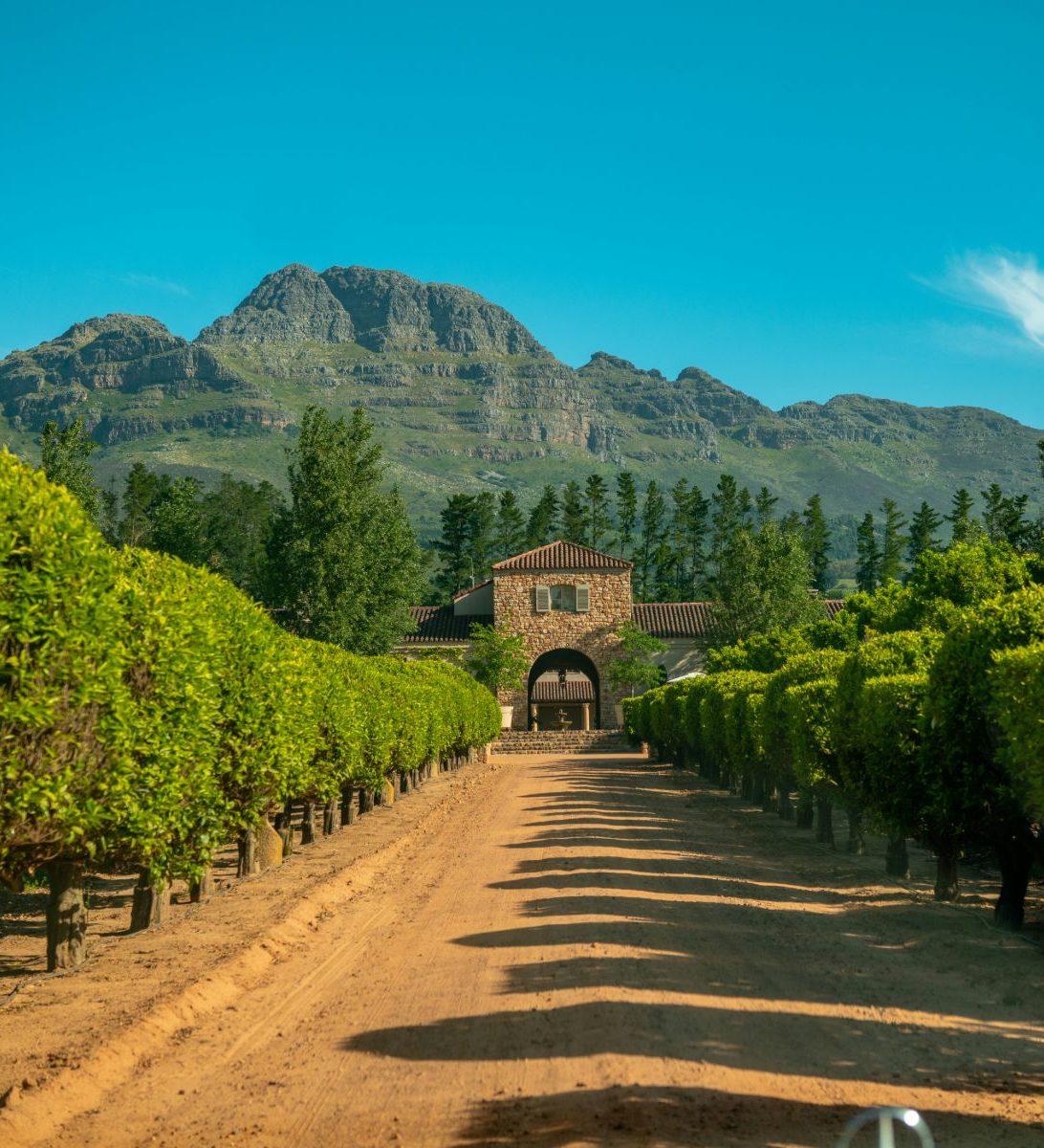 Rondreis Zuid-Afrika, Stellenbosch, wijnhuis en wijngaarden