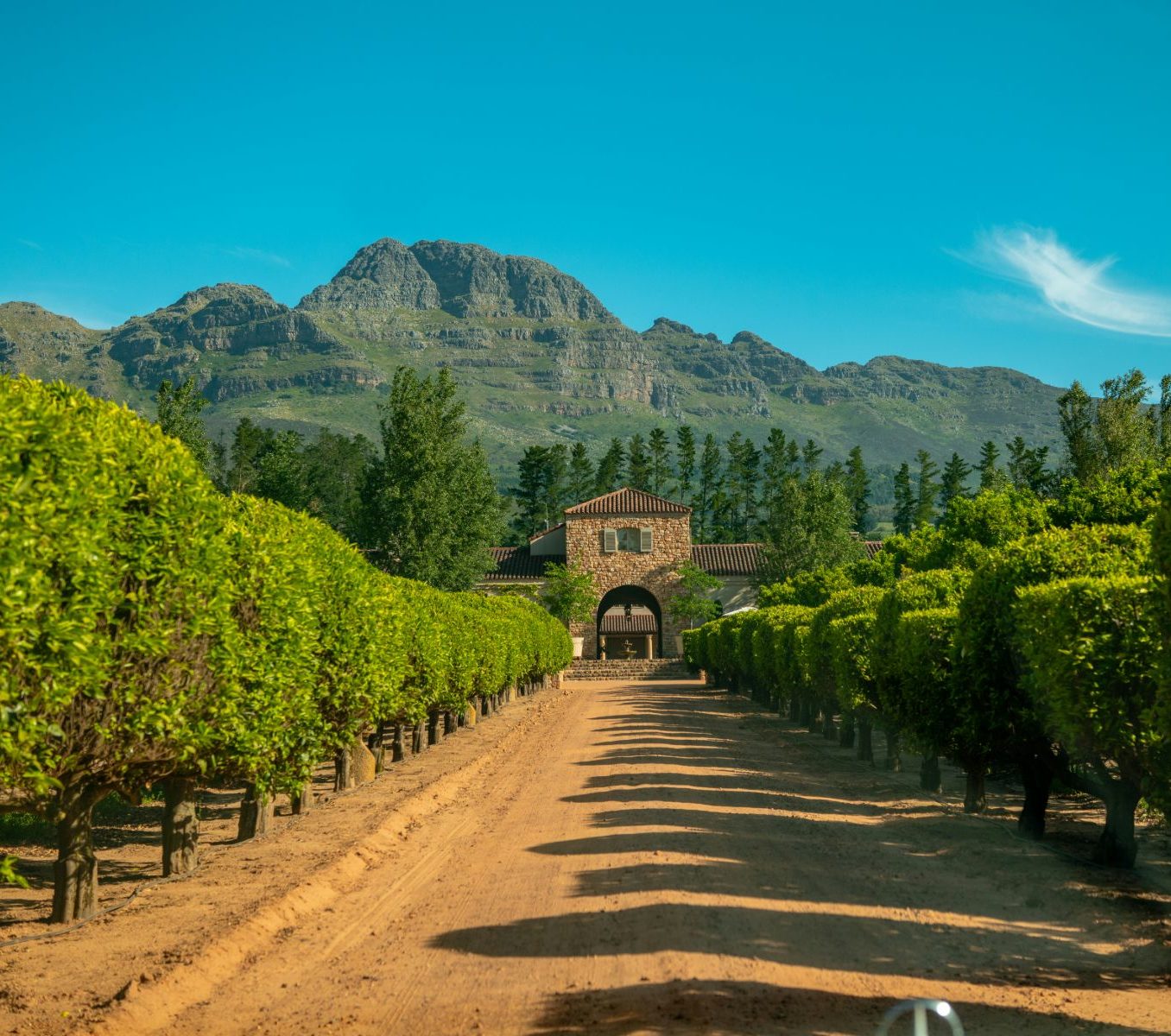Rondreis Zuid-Afrika, Stellenbosch, wijnhuis en wijngaarden