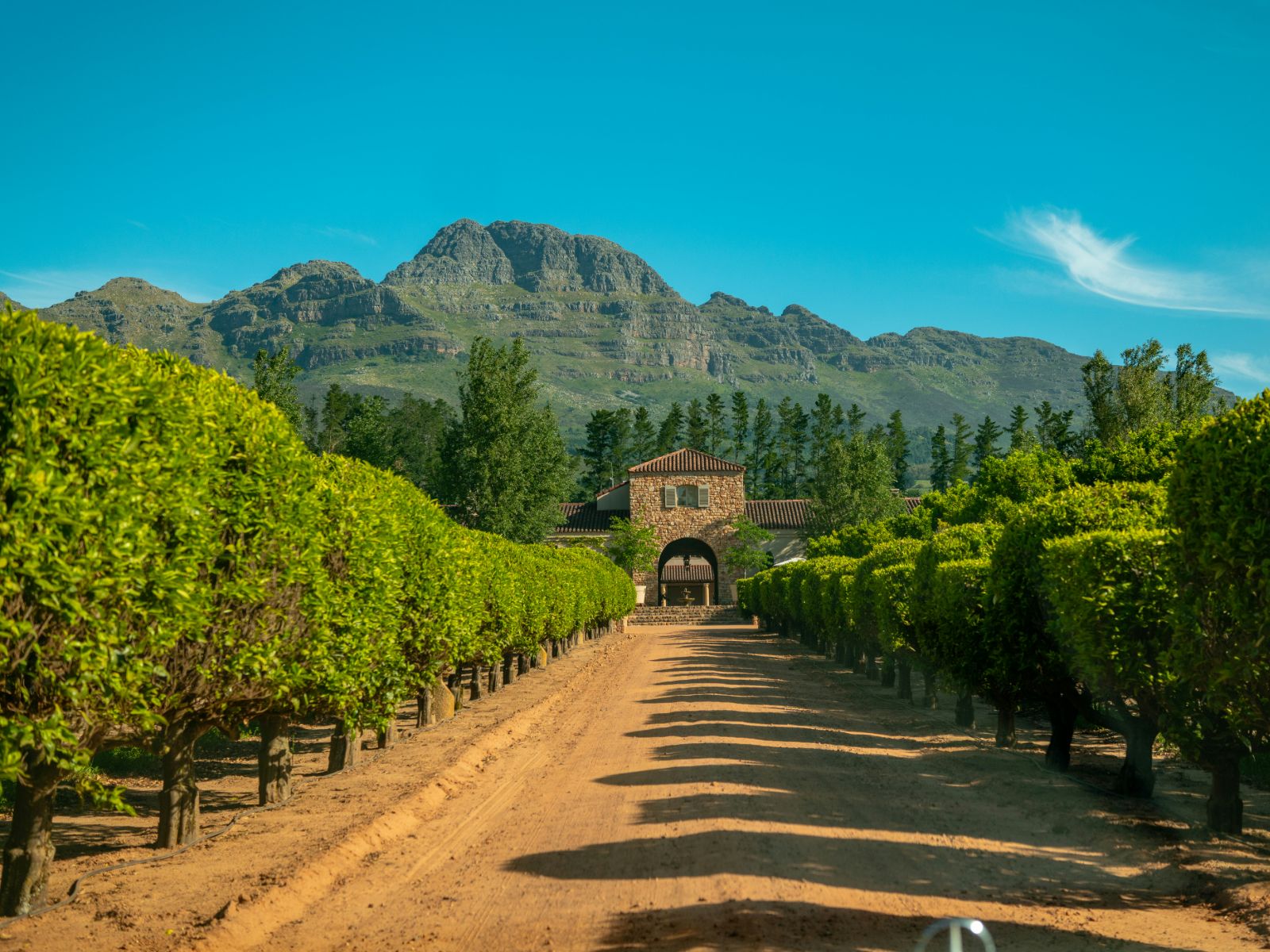 Rondreis Zuid-Afrika, Stellenbosch, wijnhuis en wijngaarden
