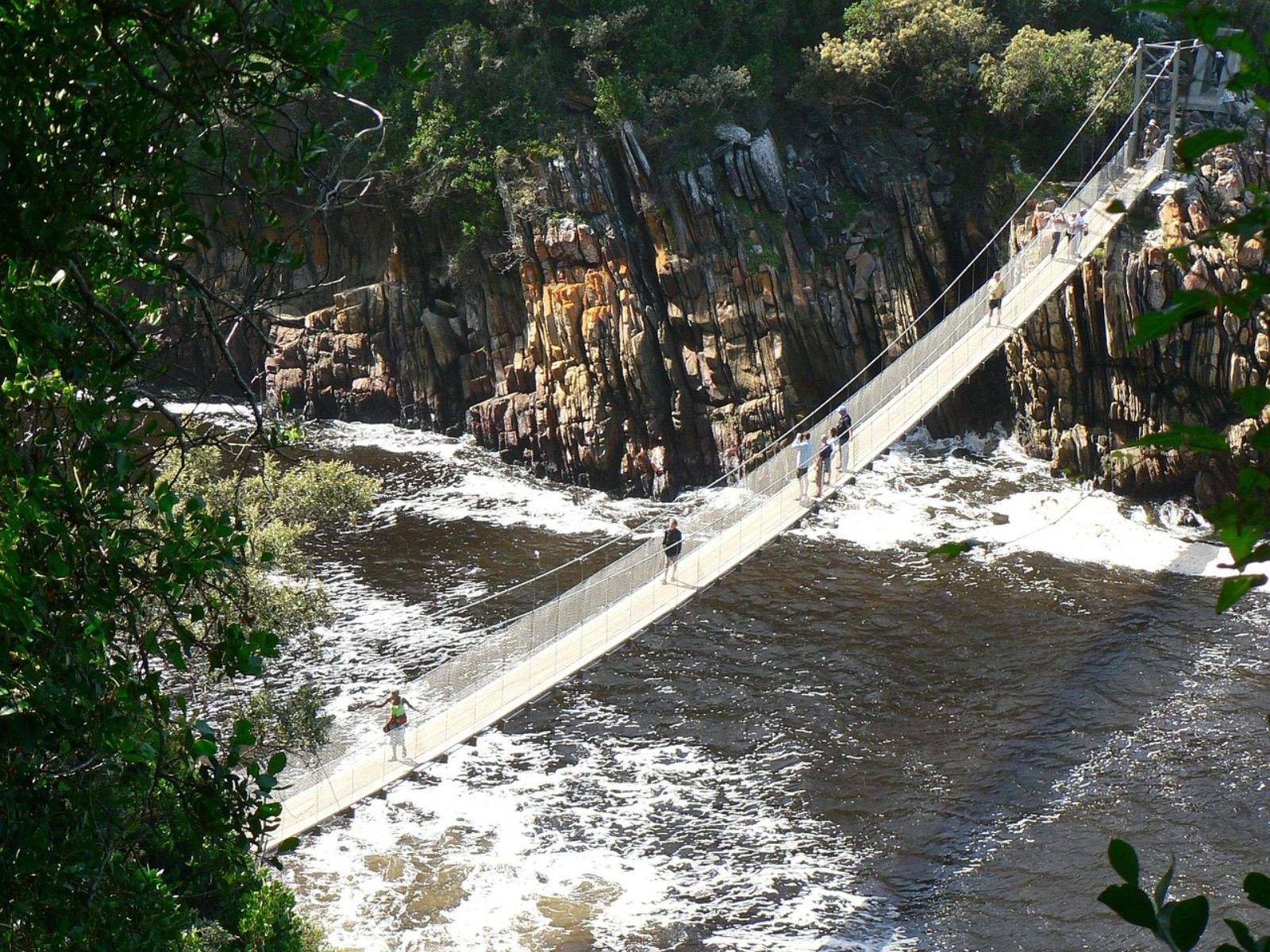 Rondreis Zuid- Afrika, Tsitsikamma National Park, hangrbug over het water