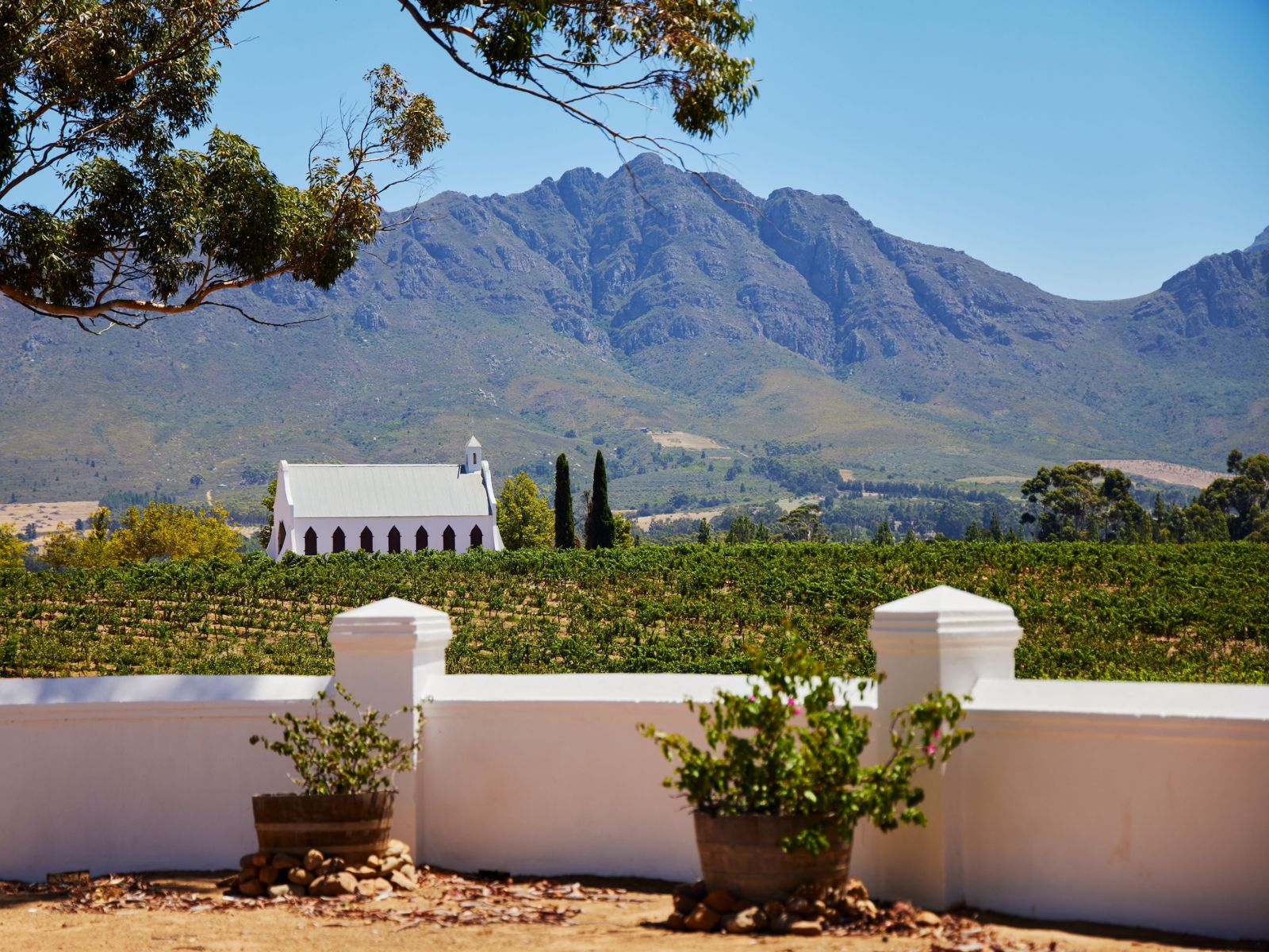 Rondreis Zuid-Afrika, Tulbagh, kapelletje in een wijngaard in een mooi landschap