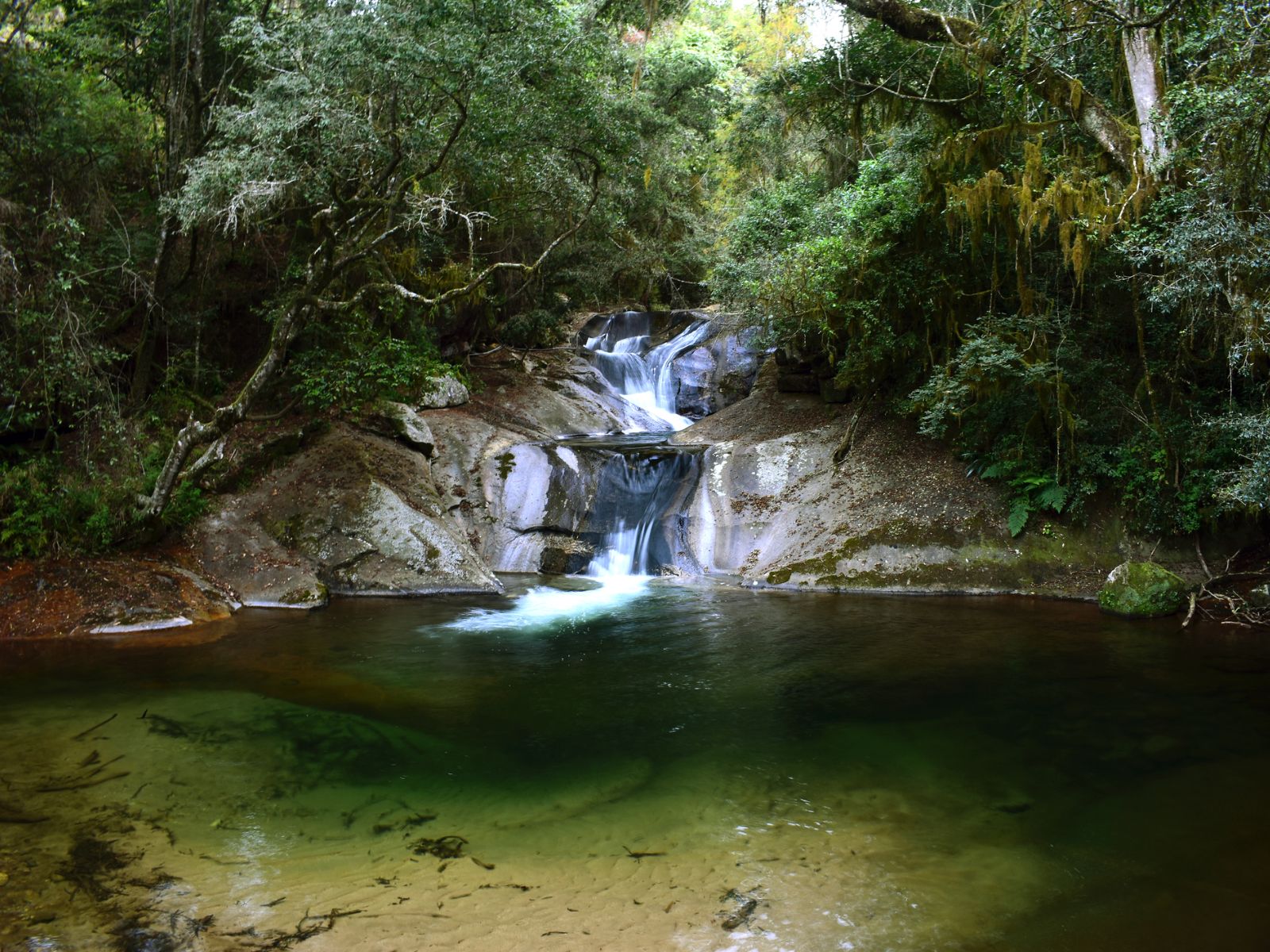 Rondreis Zuid-Afrika, Tzaneen en Moegabaskloof, Dokolewa pools, poel in het regenwoud