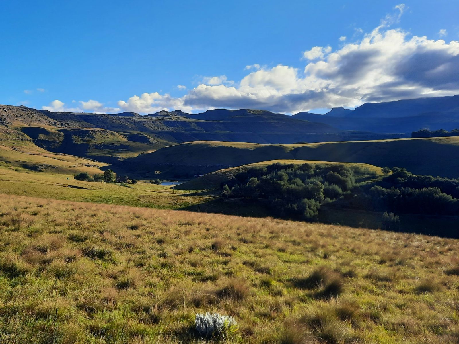 Rondreis Zuid-Afrika, Underberg, landschap met bergen