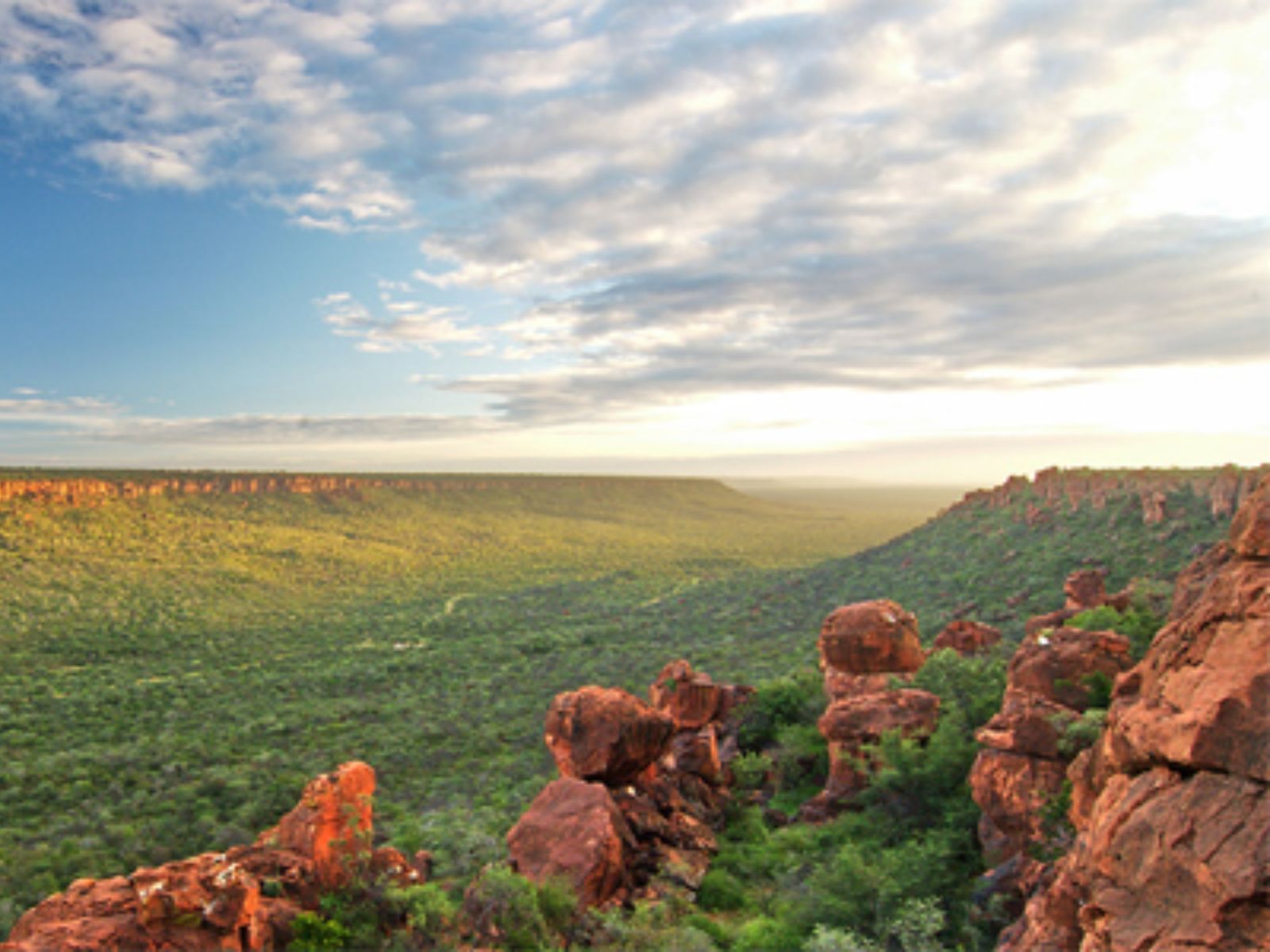 Rondreis Zuid-Afrika, Waterberg Biosphere Reserve, plateau