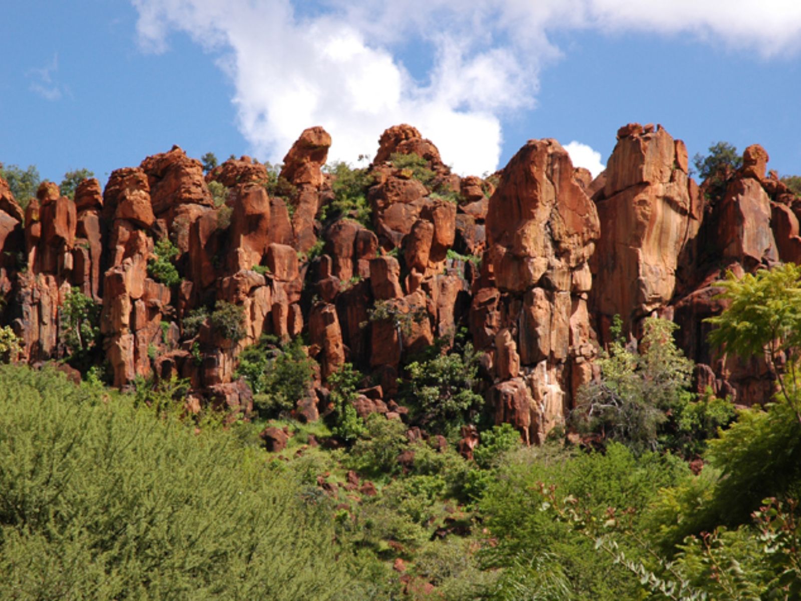 Rondreis Zuid-Afrika, Waterberg Biosphere Reserve, rotsen met planten