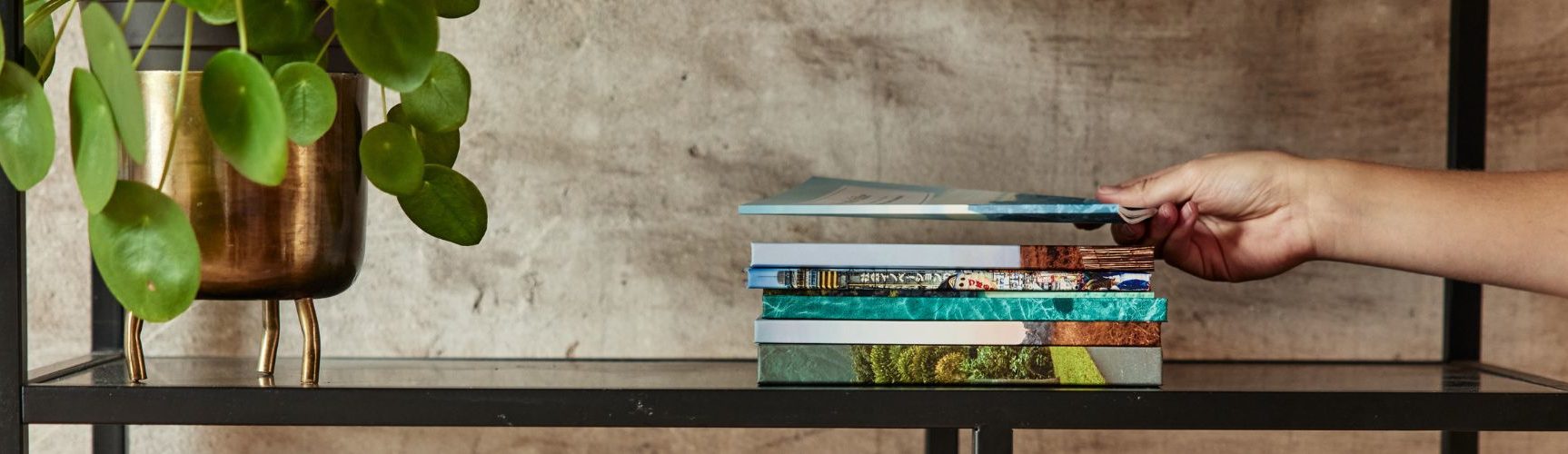 Travel-Diaries-banner-reisboeken-boekenplank