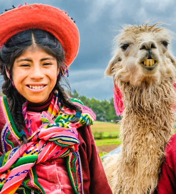 peru-inca-alpaca-aspect-ratio-382-420
