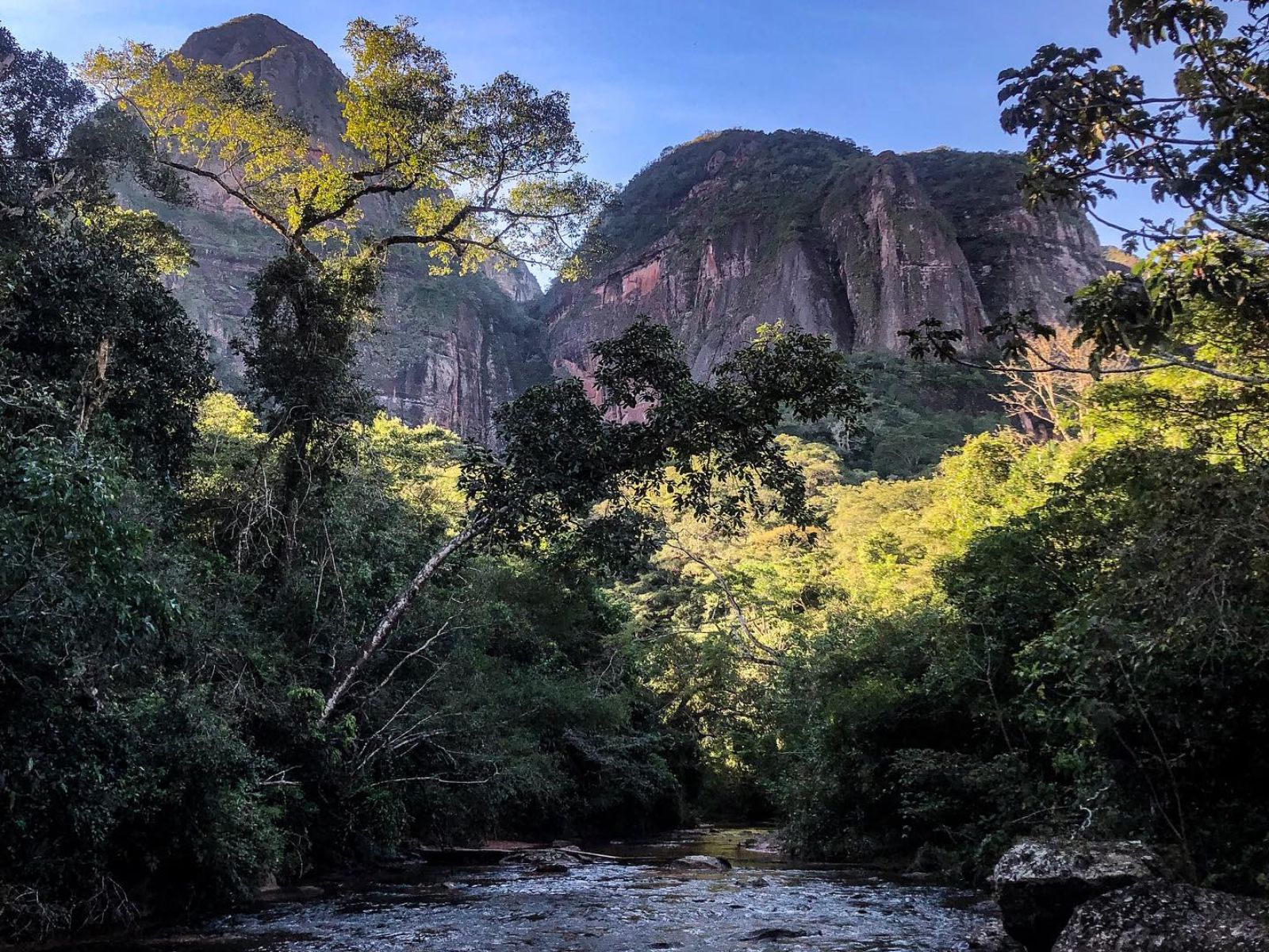 rondreis bolivia amboro national park 2