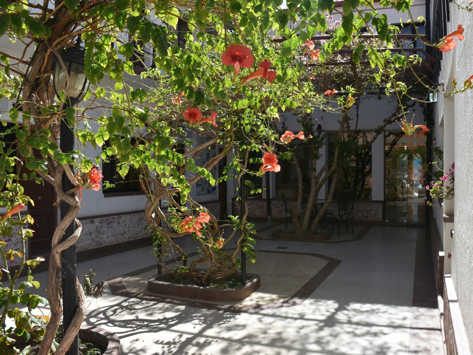 rondreis bolivia tupiza hotel mitru hotel 6