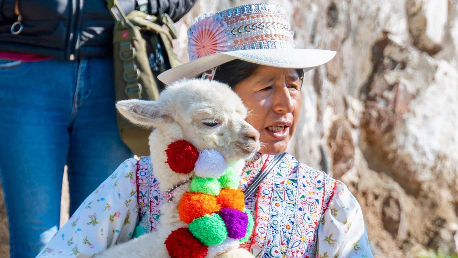 rondreis peru, arequipa, local met een alpaca